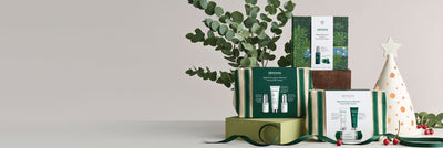 The Christmas Gift Shop