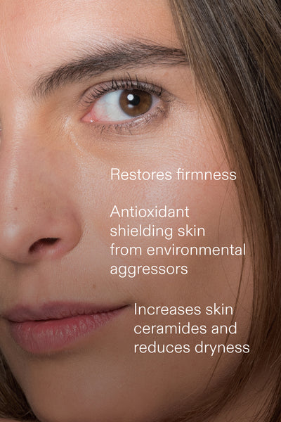 Restorative Night Face Oil